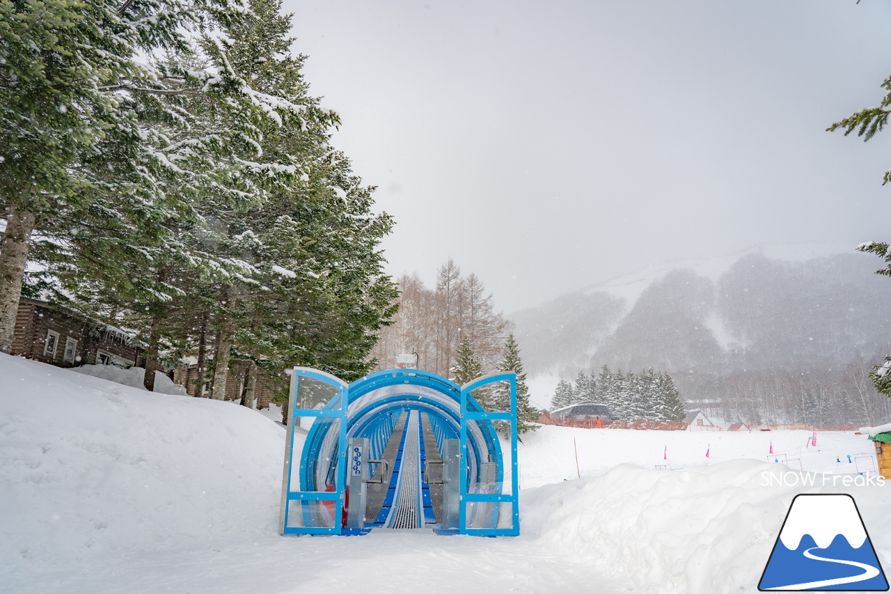 ルスツリゾート｜Mt.イゾラは、驚きの積雪量！春シーズンも広大な滑走エリアを楽しみましょう♪